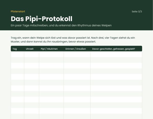 Seite 3: Das Pipi-Protokoll
